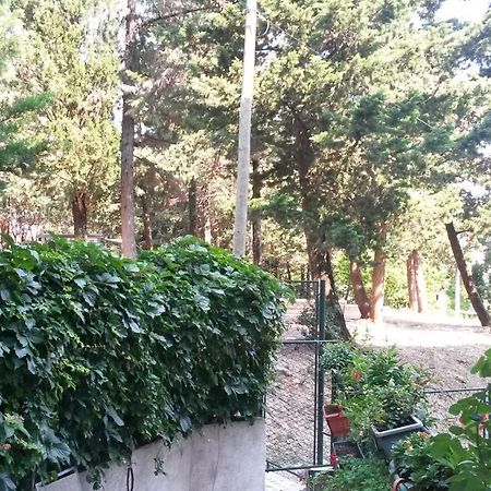 Anamarija Apartman Дубровник Экстерьер фото